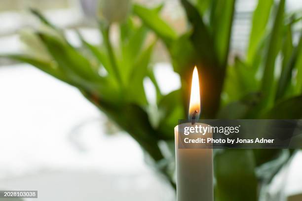 a candle light - modern judaism stock pictures, royalty-free photos & images