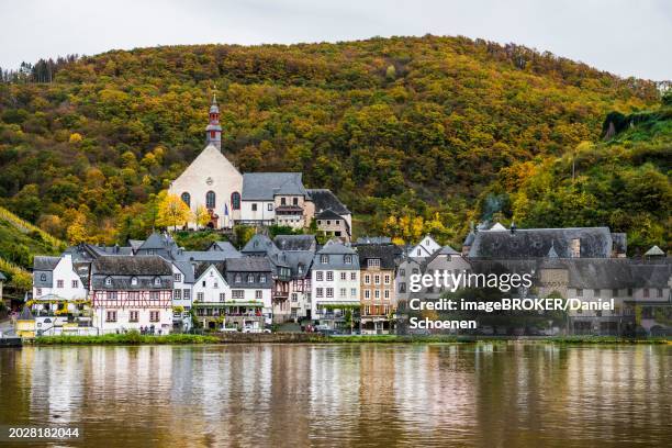 autumnal forest and picturesque village, beilstein, moselle, rhineland-palatinate, germany, europe - rhineland palatinate stock pictures, royalty-free photos & images