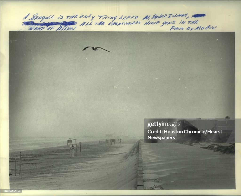 1980 Press Photo Empty beach on North Padre Island in wake Hurricane Allen