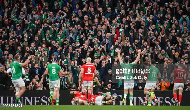 Dublin , Ireland - 24 February 2024; Ireland supporters celebrate their side's fourth try, scored by Tadhg Beirne, bottom, during the Guinness Six...