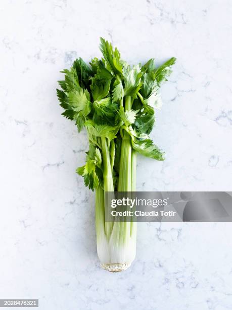 celery bunch on white background - selderij stockfoto's en -beelden