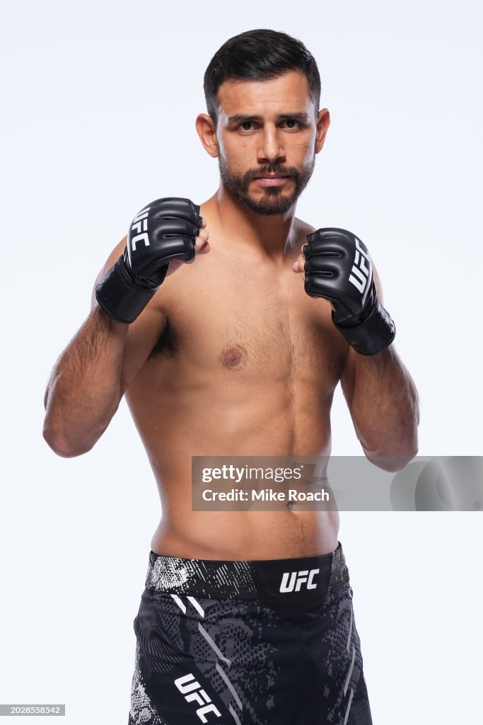 UFC Fighter Portraits