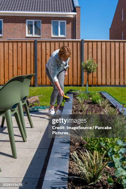 nederland - illustratief beeld  in de tuin van een nieuwbouwhuis zijn een zwangere vrouw en haar moeder samen aan het werk   foto: anp / hollandse hoogte / patricia rehe - tuin foto e immagini stock