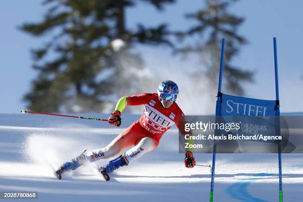 Marco Odermatt of Team Switzerland in action during the Audi FIS Alpine Ski World Cup Men's Giant Slalom on February 24, 2024 in Palisades Tahoe, USA.