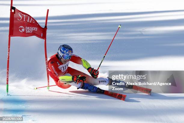 Marco Odermatt of Team Switzerland in action during the Audi FIS Alpine Ski World Cup Men's Giant Slalom on February 24, 2024 in Palisades Tahoe, USA.