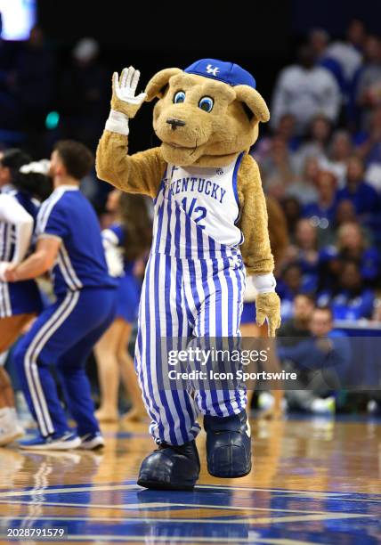 Kentucky Wildcats mascot Scratch in a game between the Alabama Crimson Tide and the Kentucky Wildcats on February 24 at Rupp Arena in Lexington, KY.