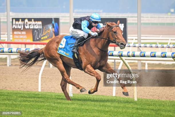 Streetwise ridden by Harry Coffey wins the Brandt 3YO Maiden Plate at Sportsbet-Ballarat Racecourse on February 25, 2024 in Ballarat, Australia.