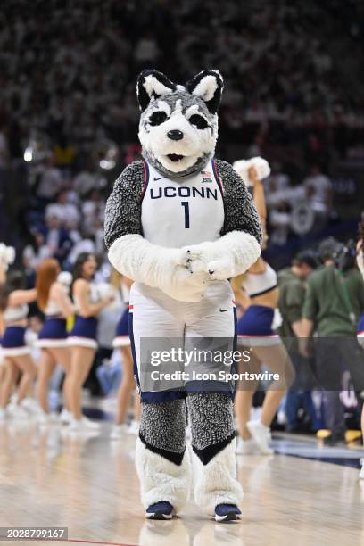 UConn Huskies mascot on the court during the game as the Villanova Wildcats take on the UConn Huskies on February 24, 2024 at the Gampel Pavilion in...
