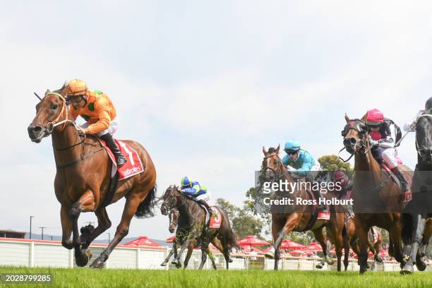 Moonlight Rustler ridden by Jason Maskiell wins the Natures Cargo Yarragon Cup 0-58 at Moe Racecourse on February 25, 2024 in Moe, Australia.