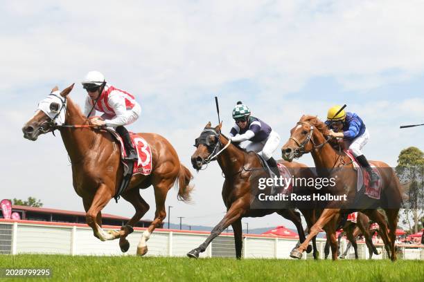 Virtucon ridden by Daniel Stackhouse wins the Merchant Butchers Newborough Cup Mdn at Moe Racecourse on February 25, 2024 in Moe, Australia.