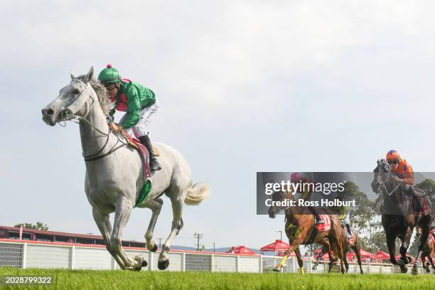 Felix Fiorente ridden by Jason Maskiell wins the Morwell Bowls Club Morwell Cup 0-58 at Moe Racecourse on February 25, 2024 in Moe, Australia.