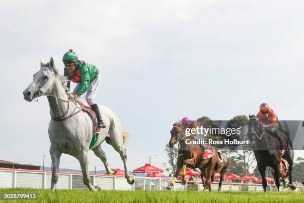 Felix Fiorente ridden by Jason Maskiell wins the Morwell Bowls Club Morwell Cup 0-58 at Moe Racecourse on February 25, 2024 in Moe, Australia.