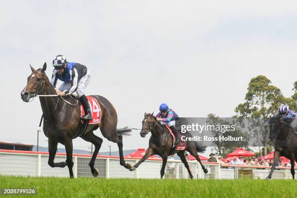 Poppin' Champagne ridden by Brian Higgins wins the Moe Refrigeration Churchill Cup Mdn at Moe Racecourse on February 25, 2024 in Moe, Australia.