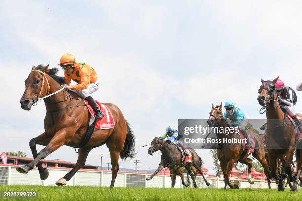 Moonlight Rustler ridden by Jason Maskiell wins the Natures Cargo Yarragon Cup 0-58 at Moe Racecourse on February 25, 2024 in Moe, Australia.