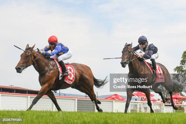 Hidden Treasure ridden by Carleen Hefel wins the LV Drafting Yallourn North Cup Mdn at Moe Racecourse on February 25, 2024 in Moe, Australia.