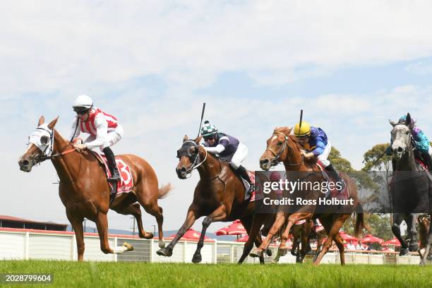 Virtucon ridden by Daniel Stackhouse wins the Merchant Butchers Newborough Cup Mdn at Moe Racecourse on February 25, 2024 in Moe, Australia.