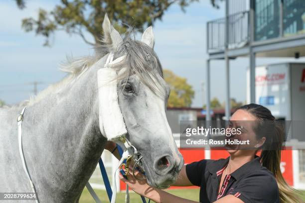 Felix Fiorente after winning the Morwell Bowls Club Morwell Cup 0-58 at Moe Racecourse on February 25, 2024 in Moe, Australia.