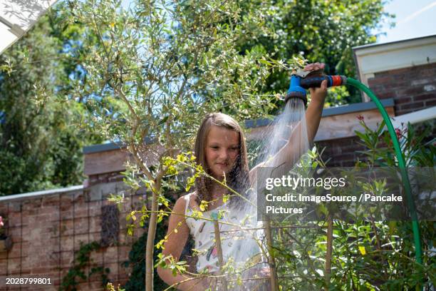 young girl watering her mothers garden with a hose - holland achtertuin stockfoto's en -beelden