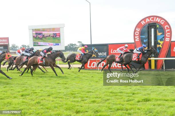 Reparter ridden by Thomas Stockdale wins the Ladbrokes Warragul Cup 0-58 at Moe Racecourse on February 25, 2024 in Moe, Australia.