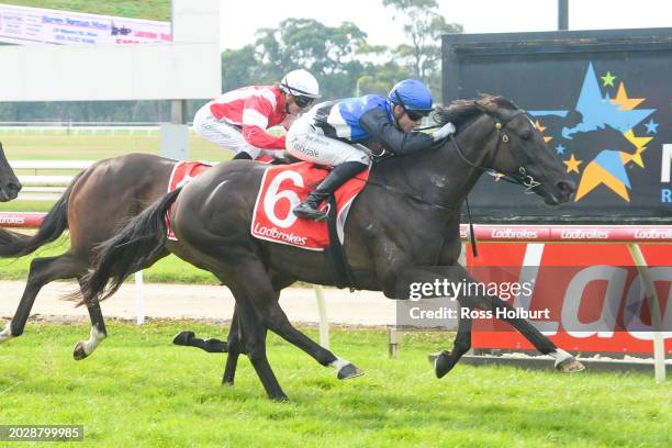 Reparter ridden by Thomas Stockdale wins the Ladbrokes Warragul Cup 0-58 at Moe Racecourse on February 25, 2024 in Moe, Australia.