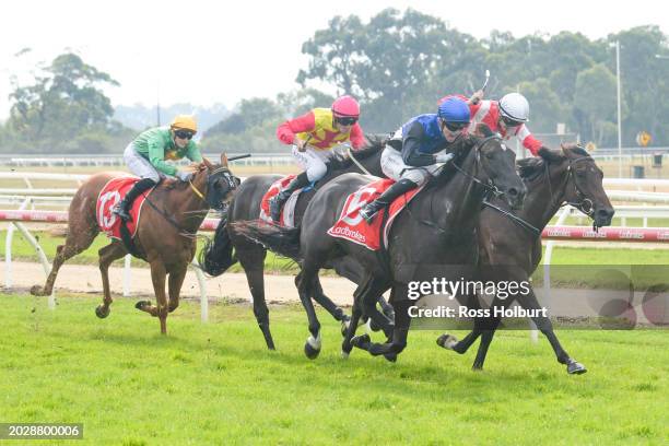 Reparter ridden by Thomas Stockdale wins the Ladbrokes Warragul Cup 0-58 at Moe Racecourse on February 25, 2024 in Moe, Australia.