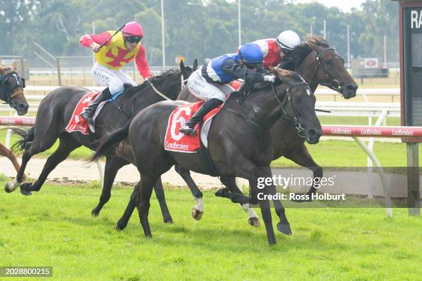 Reparter ridden by Thomas Stockdale wins the Ladbrokes Warragul Cup 0-58 at Moe Racecourse on February 25, 2024 in Moe, Australia.