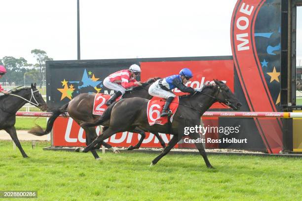 Reparter ridden by Thomas Stockdale wins the Ladbrokes Warragul Cup 0-58 at Moe Racecourse on February 25, 2024 in Moe, Australia.