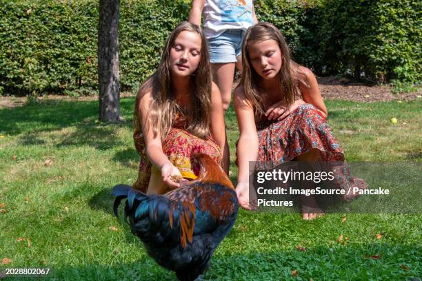 group of young girl friends posing together - holland achtertuin stockfoto's en -beelden