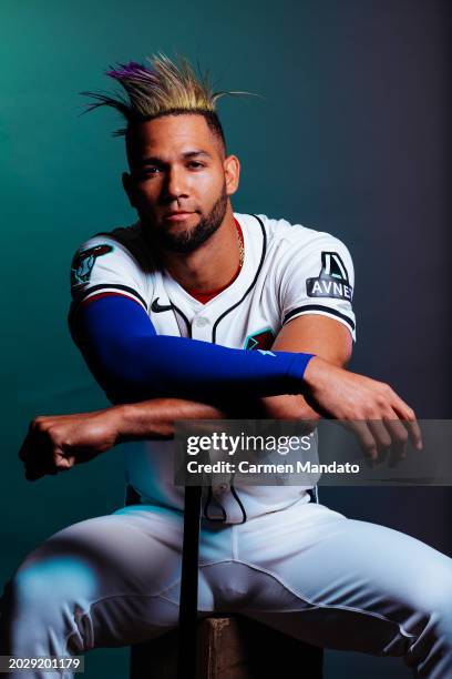 Lourdes Gurriel Jr. #12 of the Arizona Diamondbacks sits for a portrait at Salt River Fields at Talking Stick on February 21, 2024 in Scottsdale,...