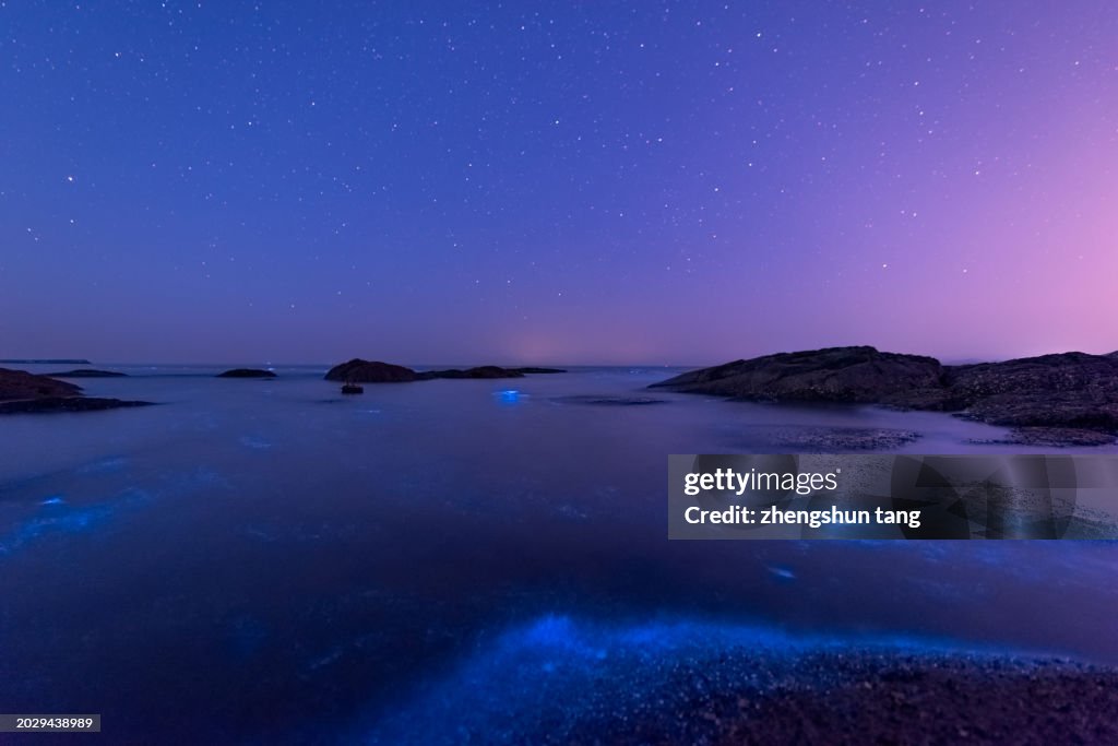 Fluorescent beach