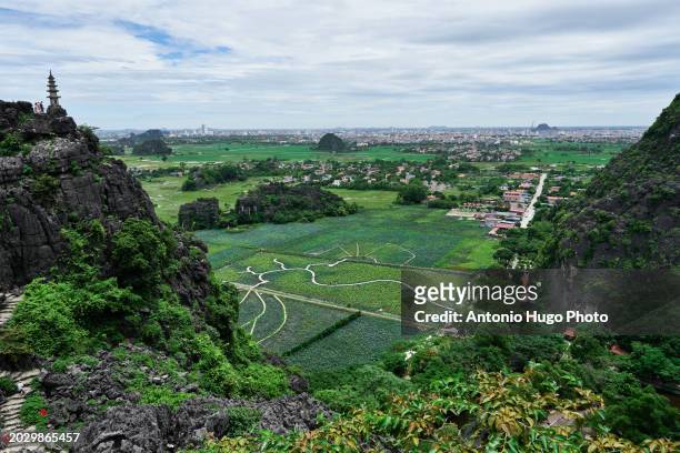 city of ninh binh as seen from mua cave viewpoint (hang mua) ninh binh, vietnam. - hanoi cityscape stock pictures, royalty-free photos & images