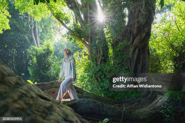 asian moslem woman exploring and embracing trees at the forest - dipterocarp tree stock pictures, royalty-free photos & images