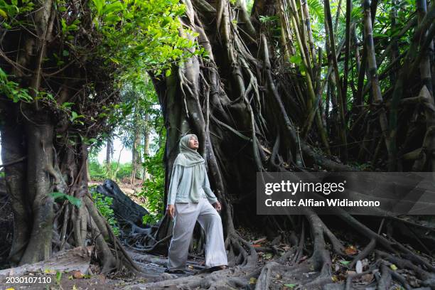 asian moslem woman exploring and embracing trees at the forest - dipterocarp tree fotografías e imágenes de stock