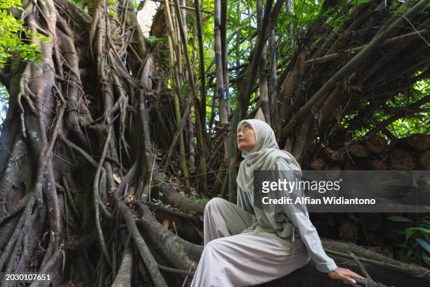 asian moslem woman exploring and embracing trees at the forest - dipterocarp tree fotografías e imágenes de stock