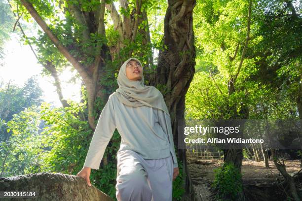 asian moslem woman exploring and embracing trees at the forest - dipterocarp tree fotografías e imágenes de stock