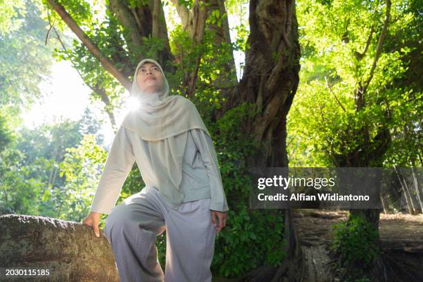 asian moslem woman exploring and embracing trees at the forest - dipterocarp tree stock pictures, royalty-free photos & images