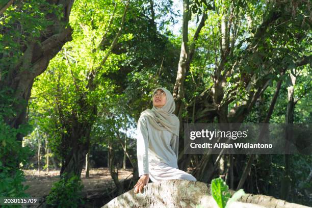 asian moslem woman exploring and embracing trees at the forest - dipterocarp tree fotografías e imágenes de stock