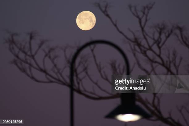 Full moon rises over Acorn Park of Secaucus city of New Jersey, United States on February 25, 2024.