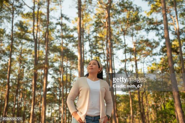 the asian mid-adult woman in white t-shirt and beige cardigan, surrounded by pine trees in the forest, is inhaling and feeling nature, exuding a positive and refreshing mood. - exuding stock pictures, royalty-free photos & images