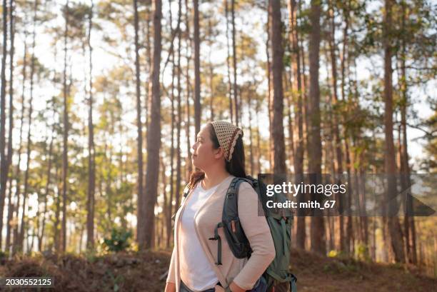 side view: asian mid-adult woman in white t-shirt beige cardigan with backpack, surrounded by pine trees in the forest, is inhaling and feeling nature, exuding a positive and refreshing mood. - exuding stock pictures, royalty-free photos & images