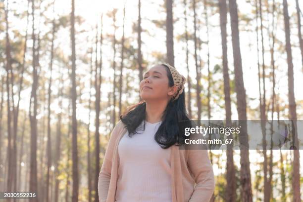 the asian mid-adult woman in white t-shirt and beige cardigan, surrounded by pine trees in the forest, is inhaling and feeling nature, exuding a positive and refreshing mood. - exuding stock pictures, royalty-free photos & images