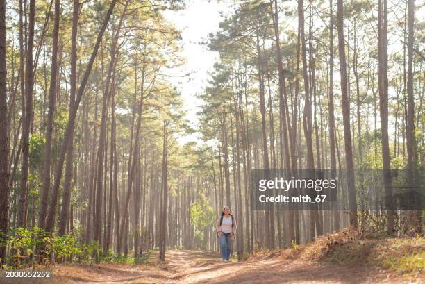 asian mid-adult woman in white t-shirt beige cardigan with backpack, surrounded by pine trees in the forest, is inhaling and feeling nature, exuding a positive and refreshing mood during trekking. - exuding stock pictures, royalty-free photos & images