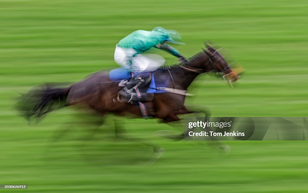 Cheltenham Festival 2023: Day Two