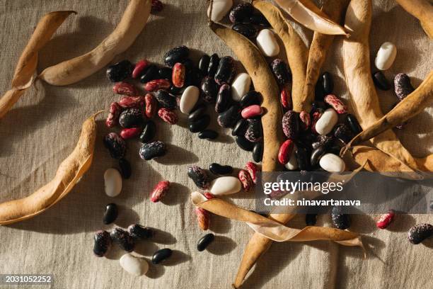 overhead view of assorted black beans, pinto beans, red beans, chilli beans and kidney beans on a table - stylisme culinaire photos et images de collection