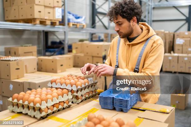 warehouse worker packing eggs for delivery at storage room - industrial laborer stock pictures, royalty-free photos & images