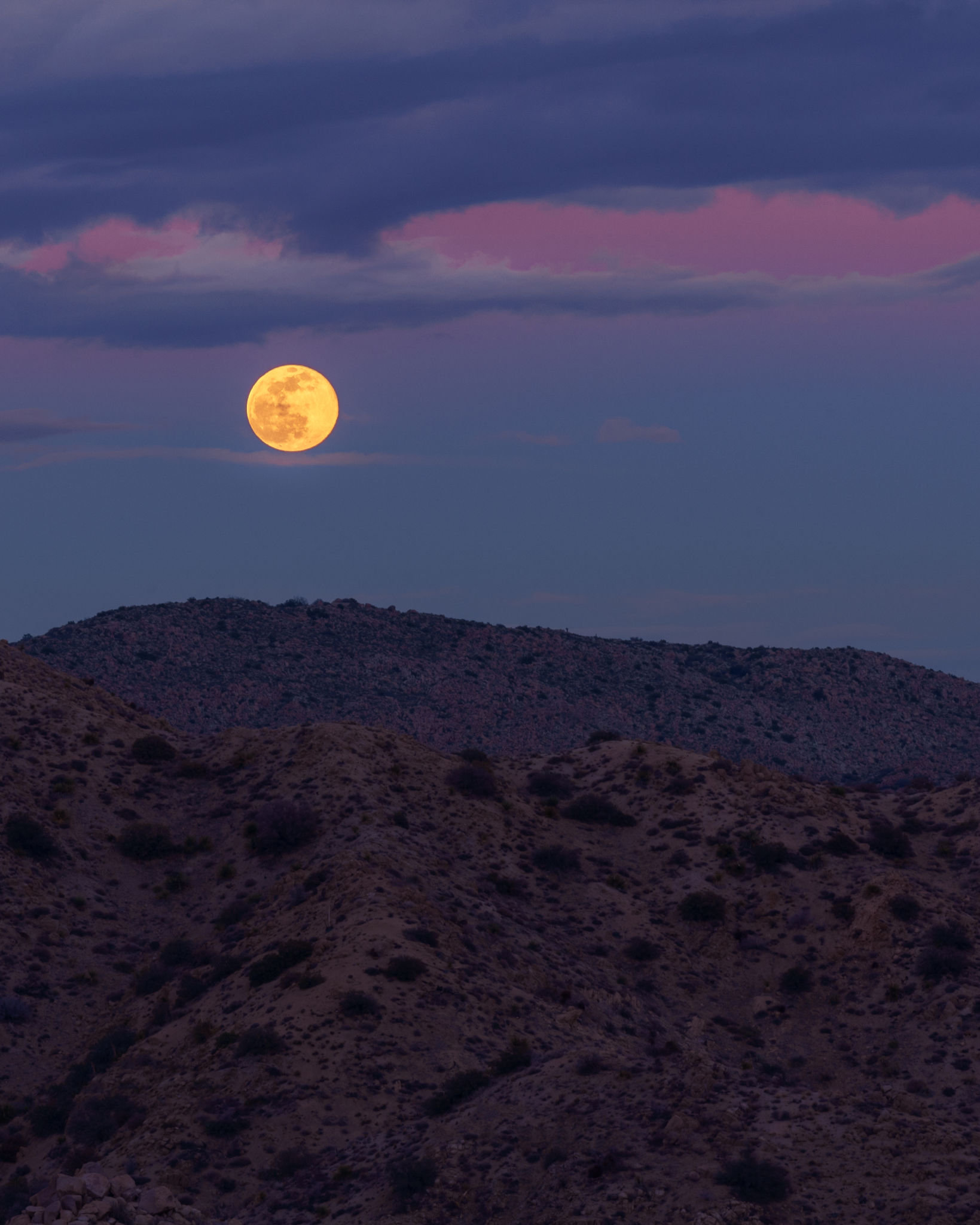 yucca valley landscape