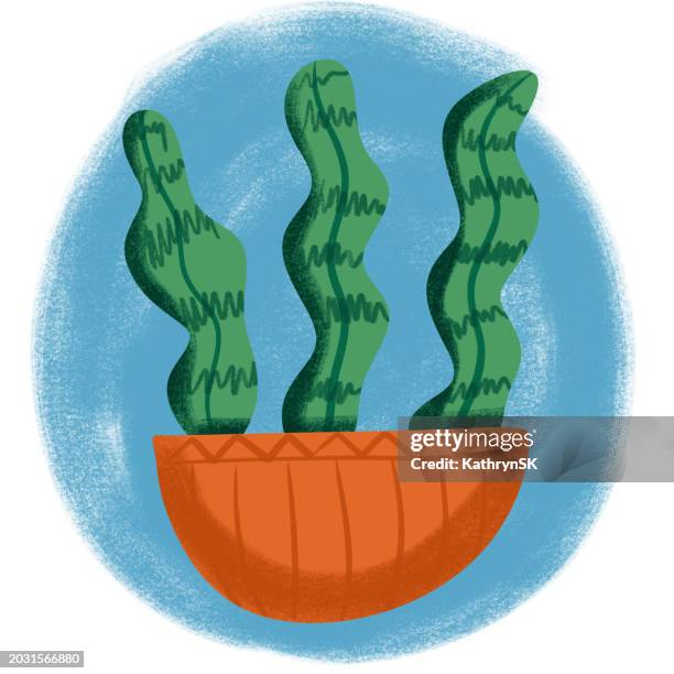 ilustrações de stock, clip art, desenhos animados e ícones de potted plant - kathrynsk