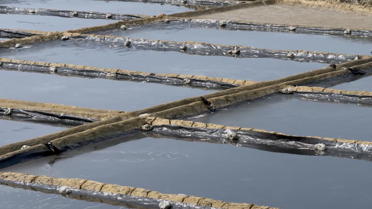 Salt Planting Method 17 Evaporation Method Stock Videos, Footage, & 4K Video Clips - Getty ...