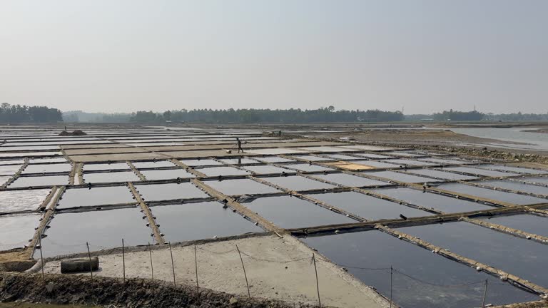Salt Planting Method 17 Evaporation Method Stock Videos, Footage, & 4K Video Clips - Getty ...