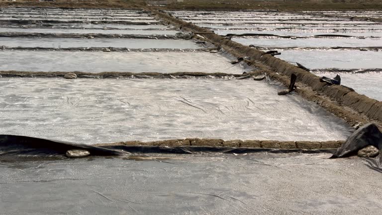 Salt Planting Method 17 Evaporation Method Stock Videos, Footage, & 4K Video Clips - Getty ...